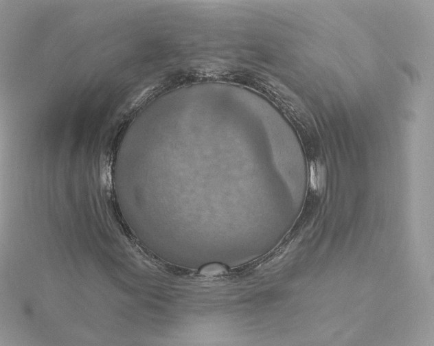 X0000115451155200911251301