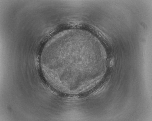 X0000115451156200911251301