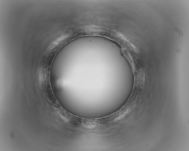 X0000115451157200911251301