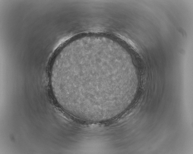 X0000115451160200911251301