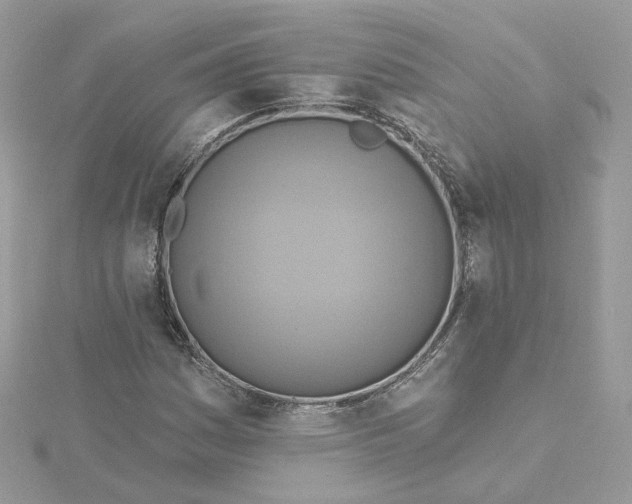 X0000115451161200911251301