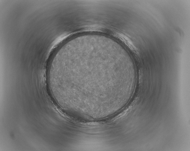 X0000115451164200911251301