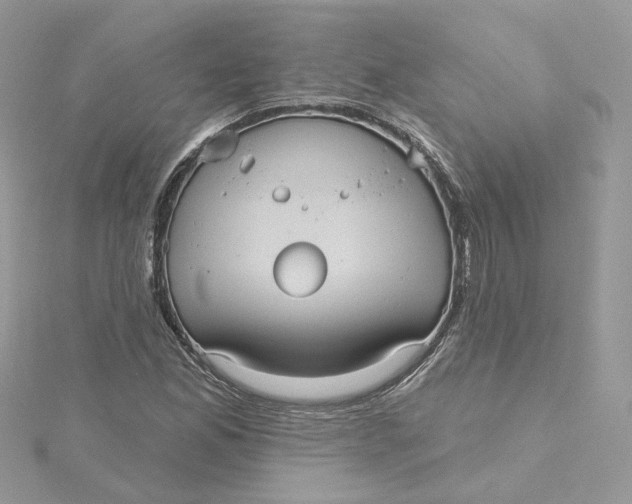 X0000115451165200911251301