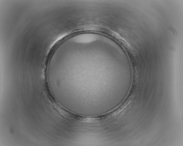 X0000115451166200911251301