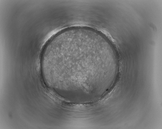 X0000115451167200911251301