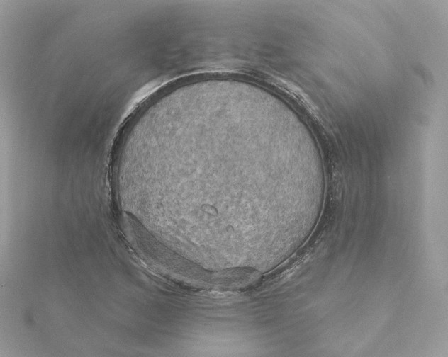 X0000115451168200911251301