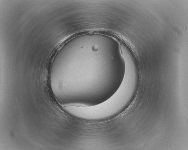 X0000115451169200911251301