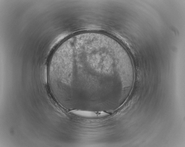 X0000115451171200911251301