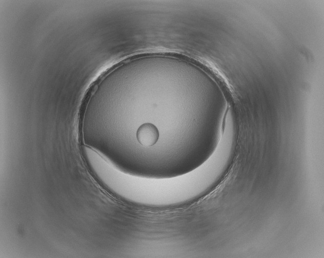 X0000115451173200911251301