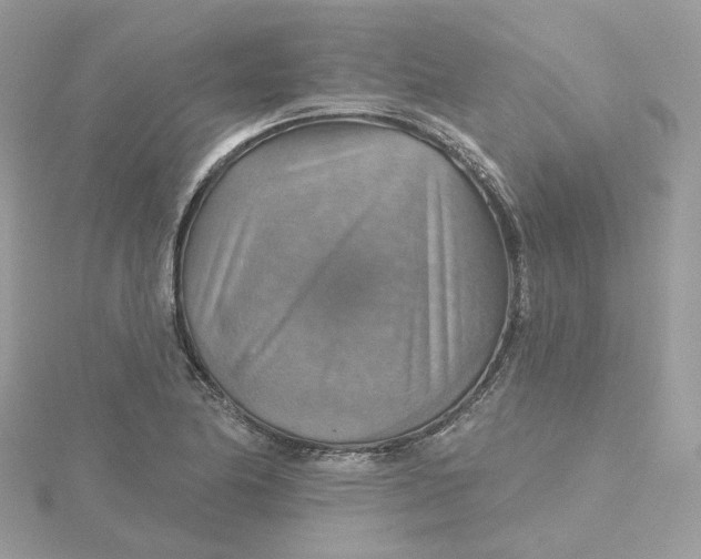 X0000115451174200911251301