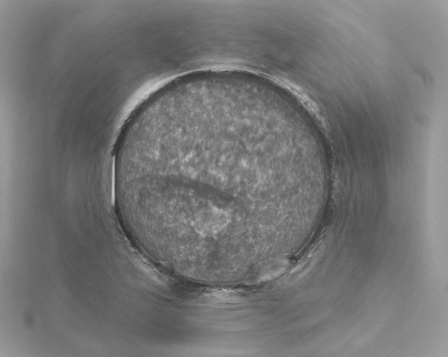 X0000115451175200911251301