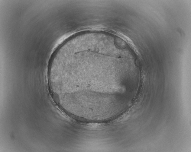 X0000115451176200911251301