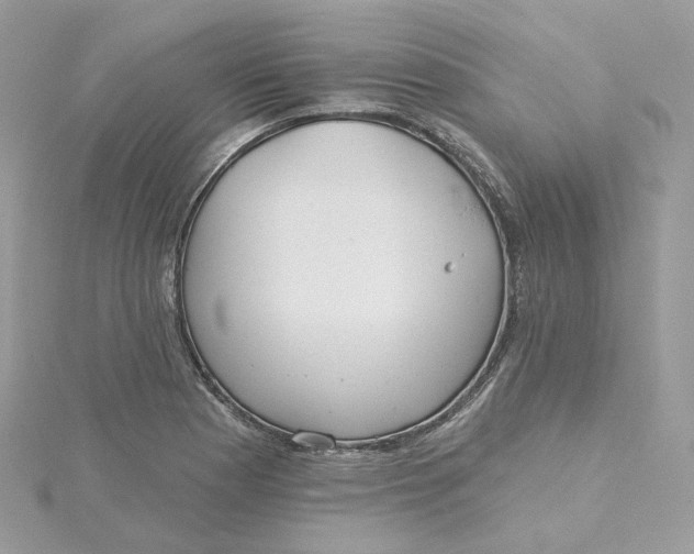 X0000115451177200911251301