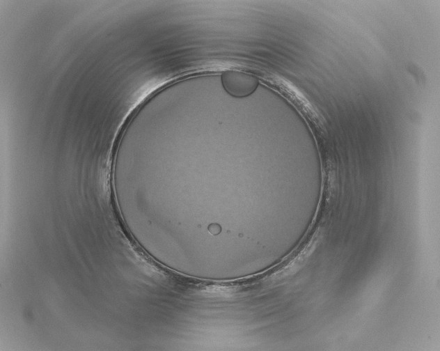 X0000115451178200911251301