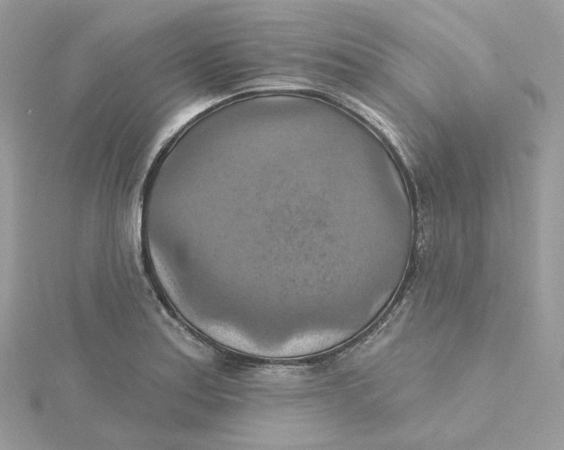 X0000115451179200911251301