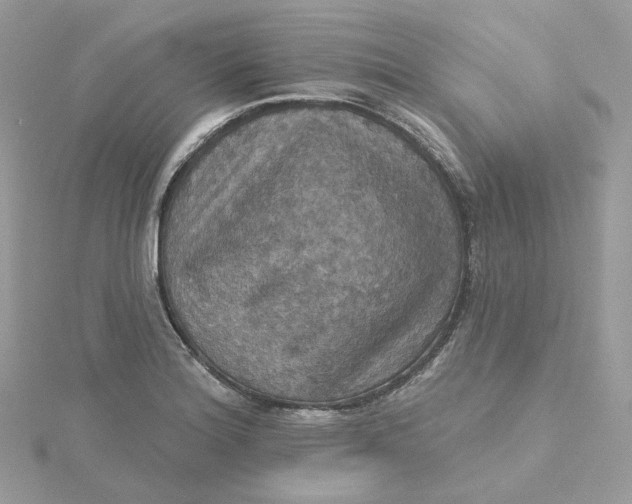 X0000115451180200911251301