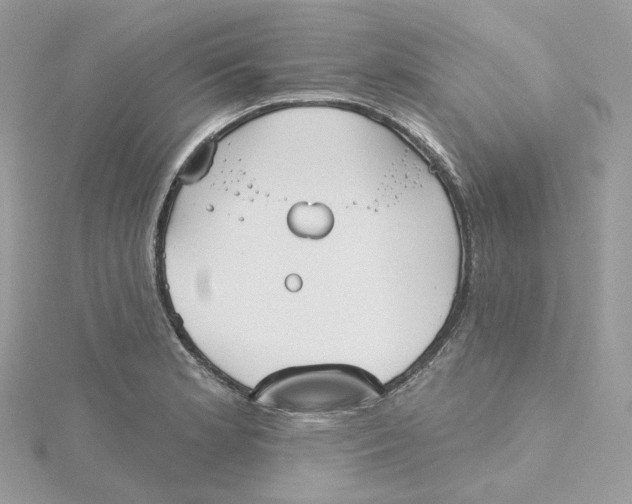 X0000115451181200911251301