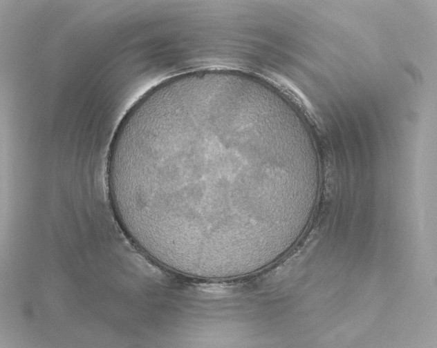 X0000115451182200911251301