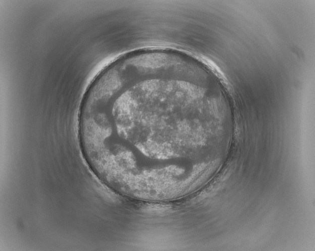 X0000115451183200911251300