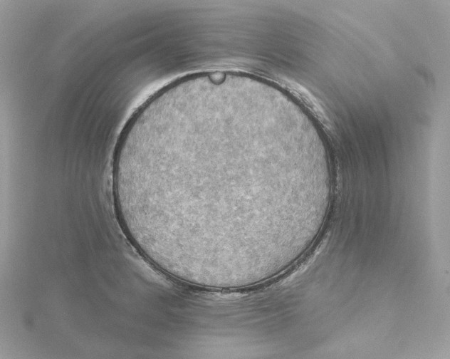 X0000115451184200911251300