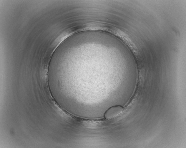 X0000115451185200911251300