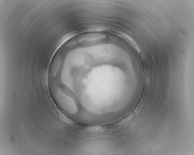 X0000115451186200911251300