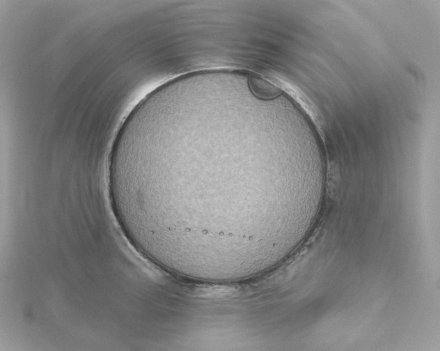 X0000115451187200911251300