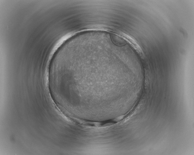 X0000115451188200911251300