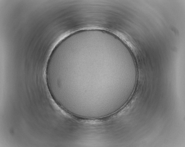 X0000115451189200911251300