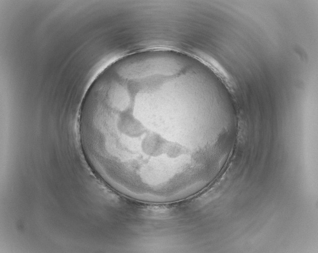 X0000115451190200911251300