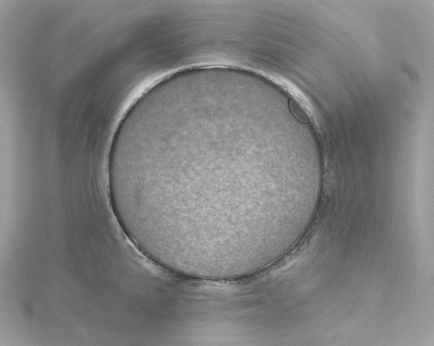 X0000115451191200911251300