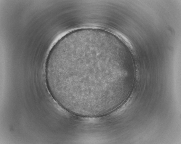 X0000115451192200911251300