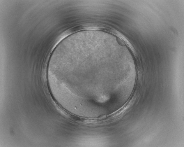 X0000115451194200911251300