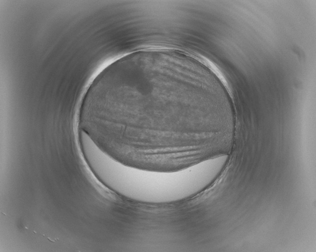 X0000115451195200911251300