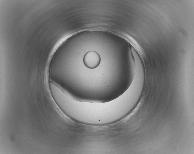 X0000115451196200911251300