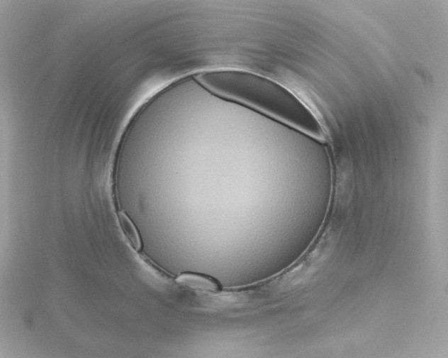 X0000115451197200911251300