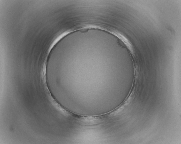 X0000115451198200911251300