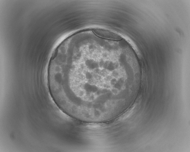 X0000115451199200911251300