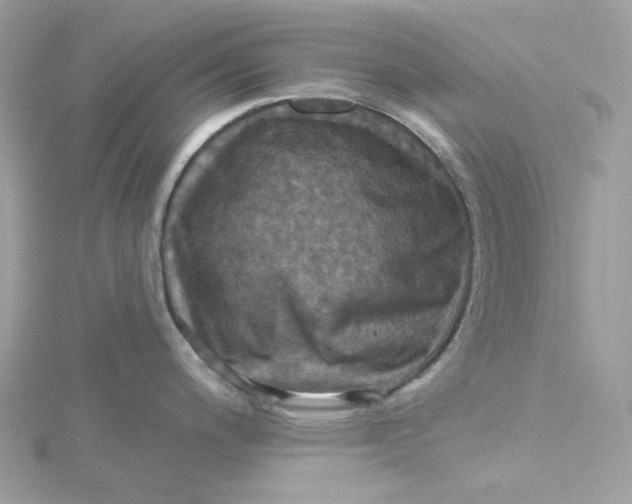 X0000115451200200911251300