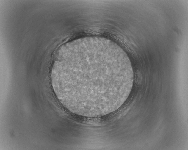 X0000115451201200911251300