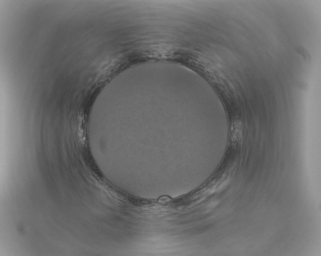 X0000115451202200911251300