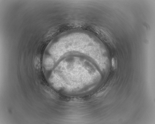 X0000115451203200911251300