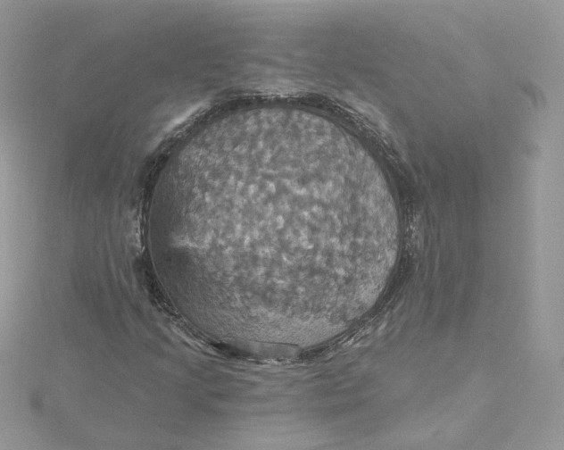 X0000115451205200911251300