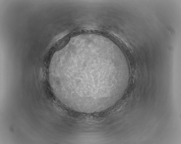 X0000115451207200911251300