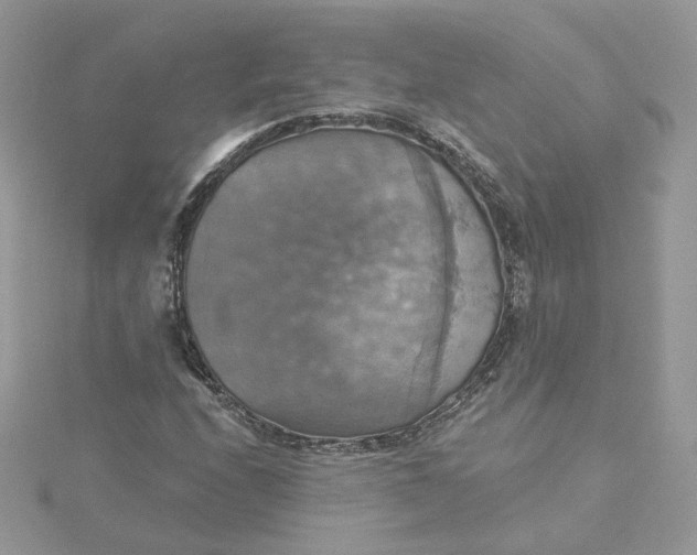 X0000115451208200911251300