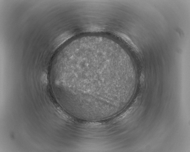 X0000115451209200911251300