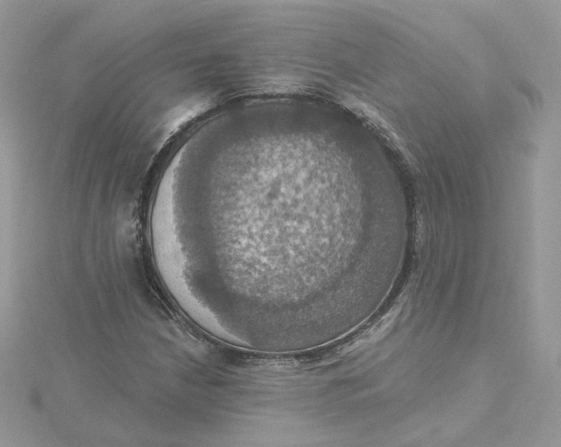 X0000115451210200911251300