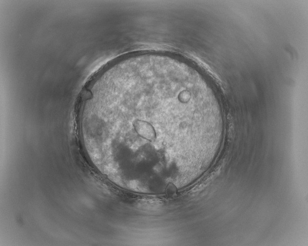 X0000115451215200911251300