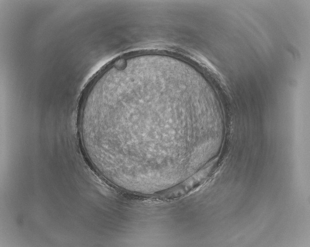 X0000115451216200911251300