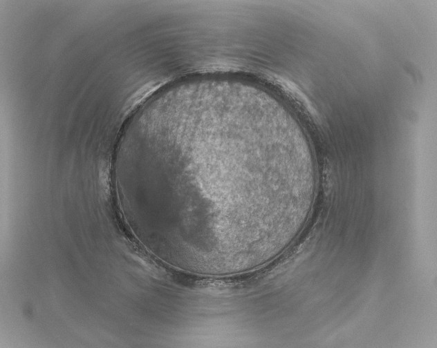 X0000115451217200911251300